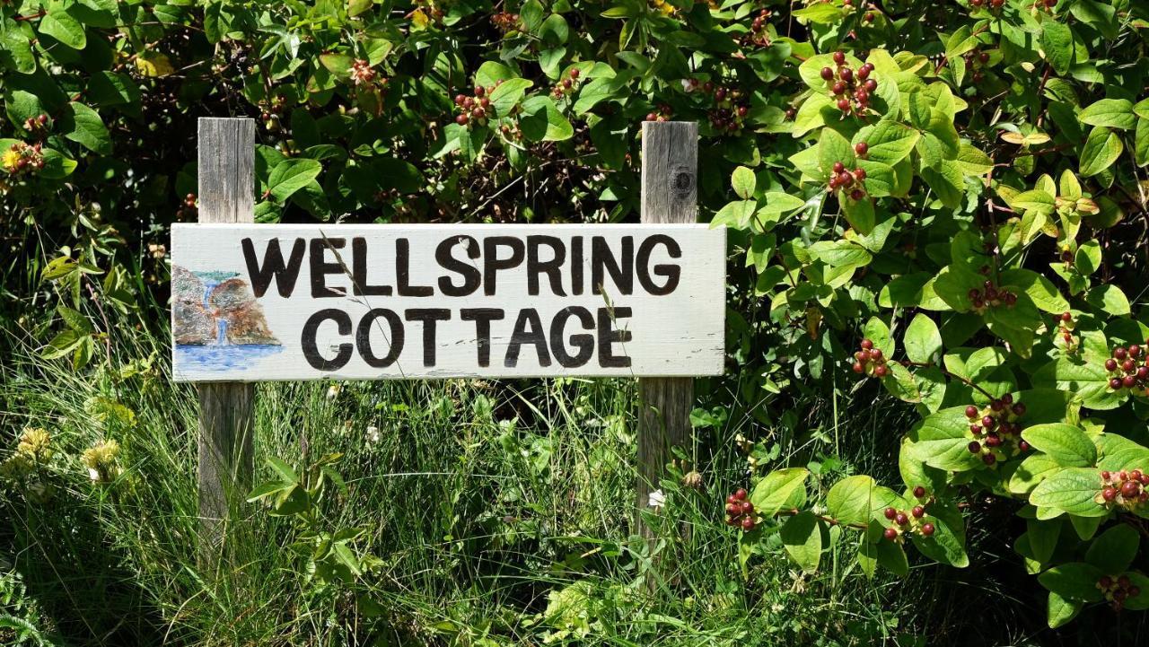 Wellspring Cottage Nr Kynance Cove Лизард Экстерьер фото